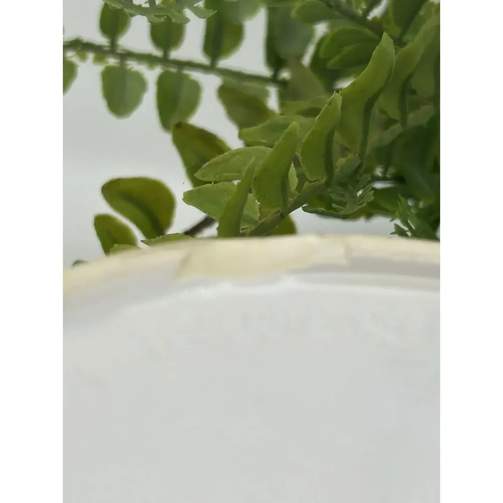 Round White Ceramic Embossed Fruit Lidded Box 5.2